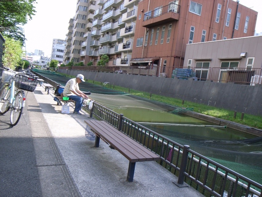 大横川親水公園に釣り堀がありました！